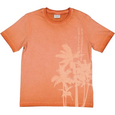 T Shirt manica corta Trybeyond in jersey tinto capo 84465